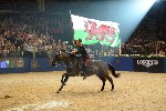 Cavalry - 00085